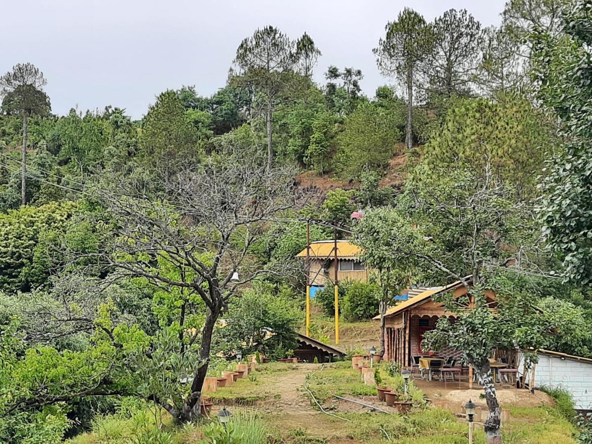 Mukteshwar Grand Retreat マックトシュワー エクステリア 写真